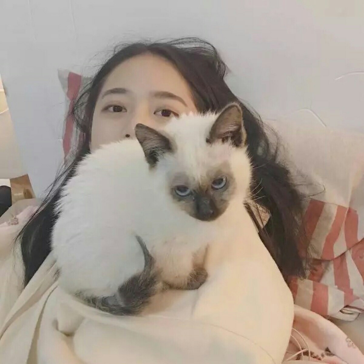 美女头像真人头像网红_美女头像真人气质