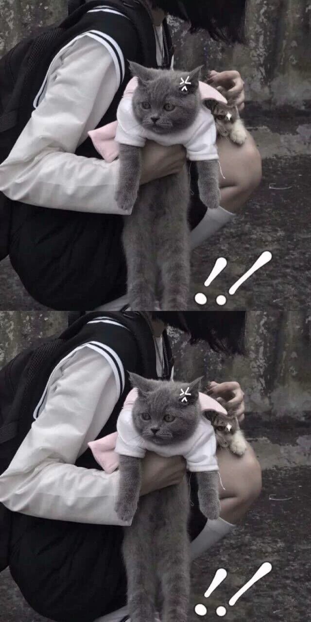 美女自拍_美女照片背影侧面