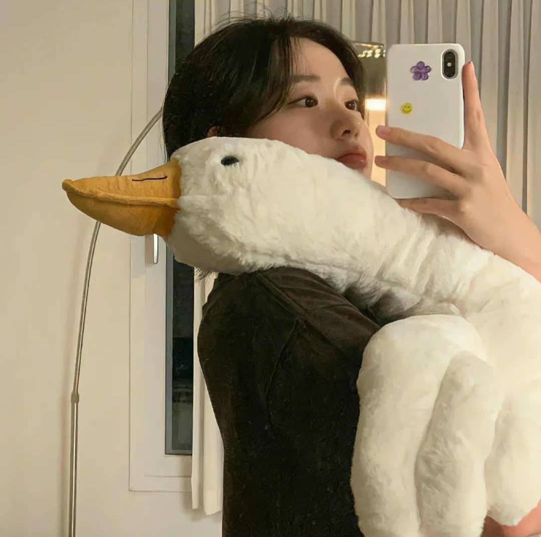 美女壁纸女_美女照片