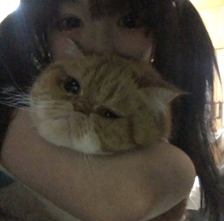 美女图片微信头像侧脸_美女照片