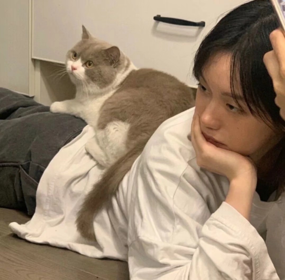 午夜免费福利小电影人妻美穴_美女壁纸手机壁纸
