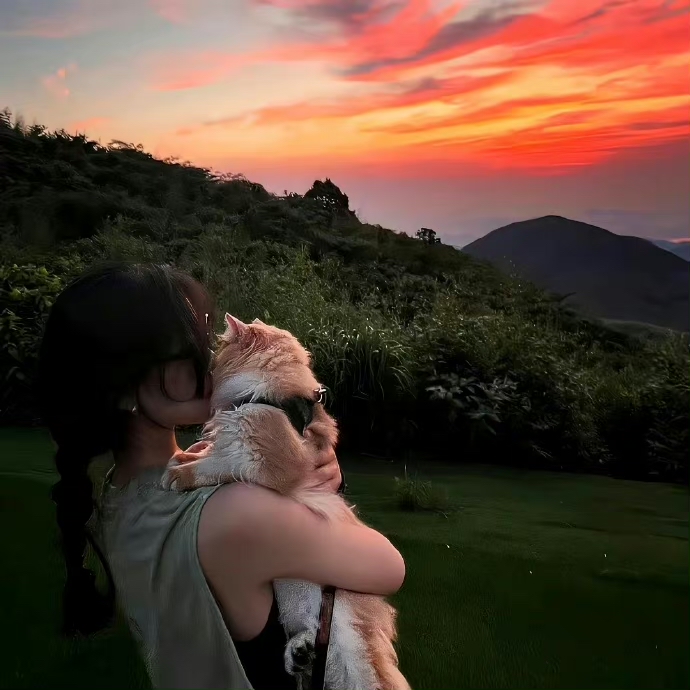 美女图片微信头像背影唯美_美女图片微信头像高清头像