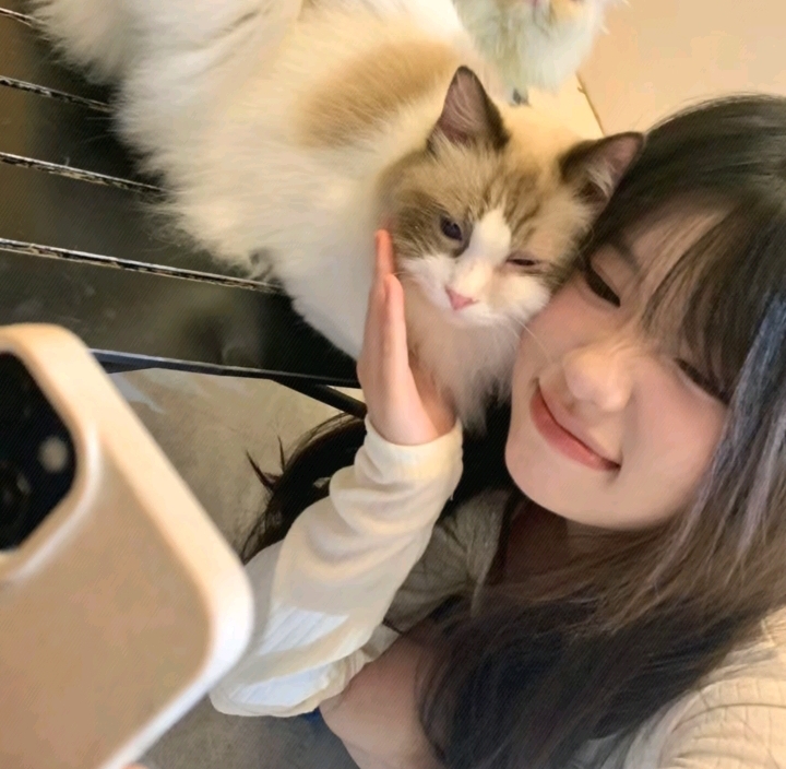 美女时尚街拍_美女高雅造型